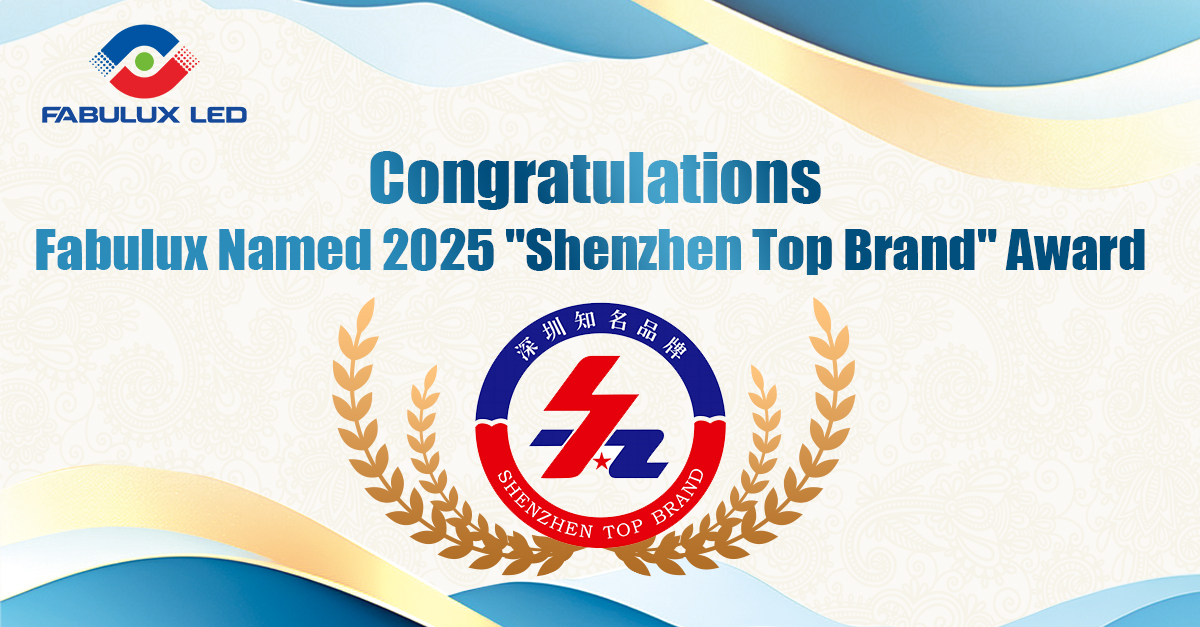 Fabulux Named 2025 "Shenzhen Top Brand" Award 