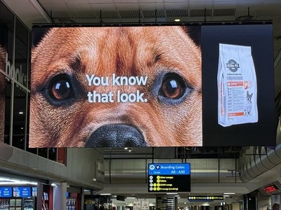 South Africa JNB Airport Terminal LED Display
