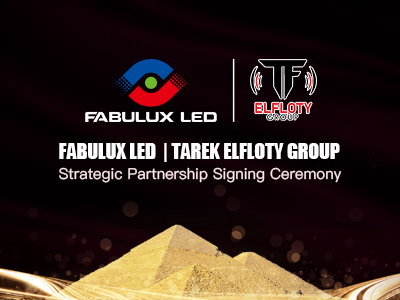 Fabulux and ELFLOTY GROUP Sign Strategic Partnership Agreement